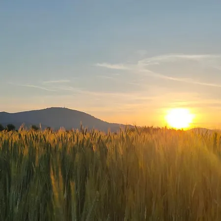 Dom wakacyjny Na Wyłączność ,bania Z Jacuzzi. Góry, Jezioro, Las. Lesna (Zywiec)