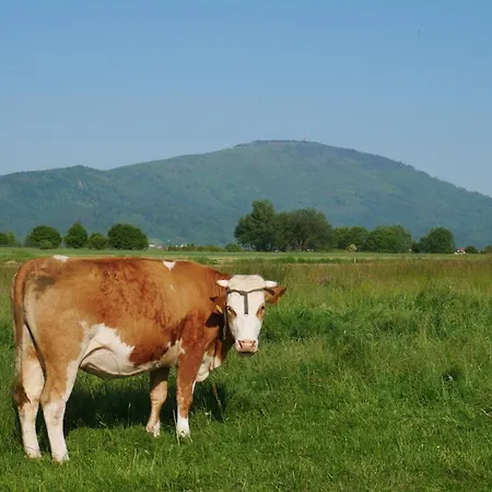 Na Wyłączność ,bania Z Jacuzzi. Góry, Jezioro, Las.