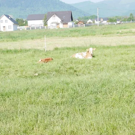 Na Wyłączność ,bania Z Jacuzzi. Góry, Jezioro, Las. Dom wakacyjny Lesna (Zywiec)