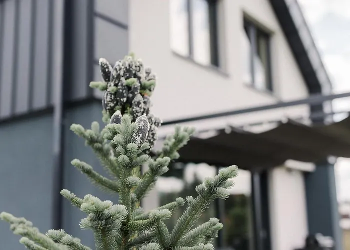 Na Wylacznosc ,bania Z Jacuzzi. Gory, Jezioro, Las. Tatil Evi