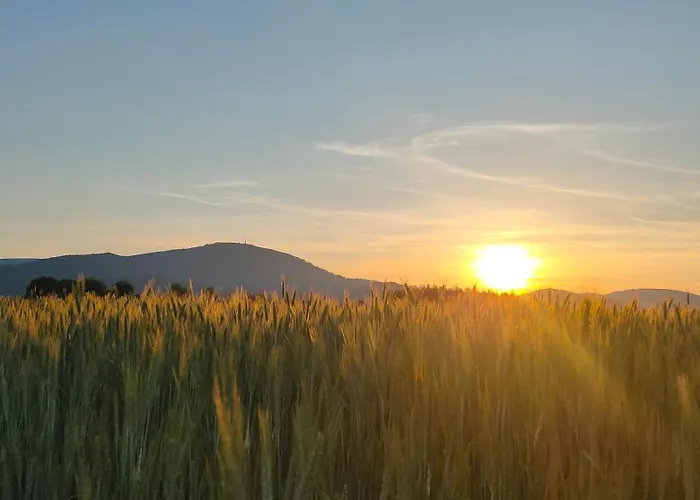 Ferienhaus Na Wylacznosc ,bania Z Jacuzzi. Gory, Jezioro, Las. Lesna (Zywiec)