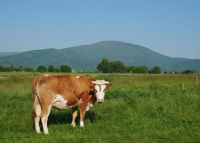 Na Wylacznosc ,bania Z Jacuzzi. Gory, Jezioro, Las.