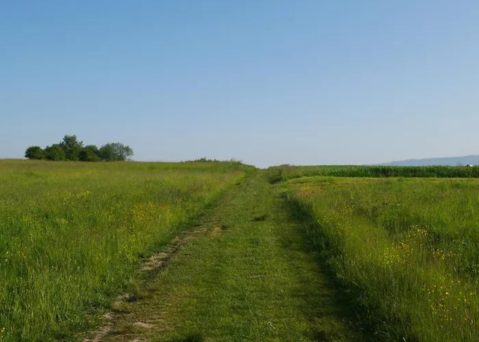 Na Wylacznosc ,bania Z Jacuzzi. Gory, Jezioro, Las. Lesna (Zywiec)