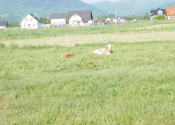 Na Wylacznosc ,bania Z Jacuzzi. Gory, Jezioro, Las. Tatil Evi Lesna (Zywiec)