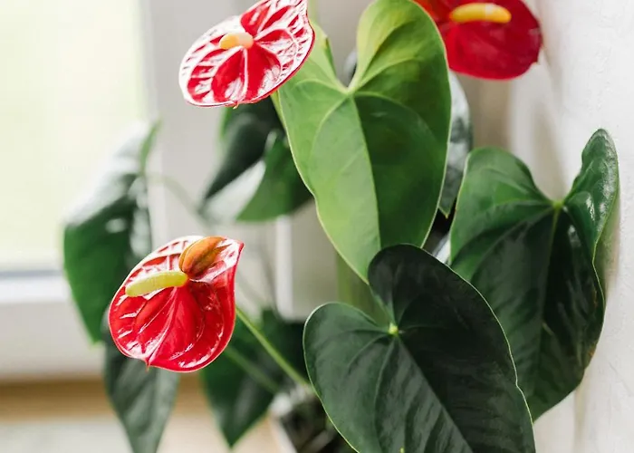 Na Wylacznosc ,bania Z Jacuzzi. Gory, Jezioro, Las.